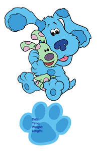 Blue's Clues Baby Sign