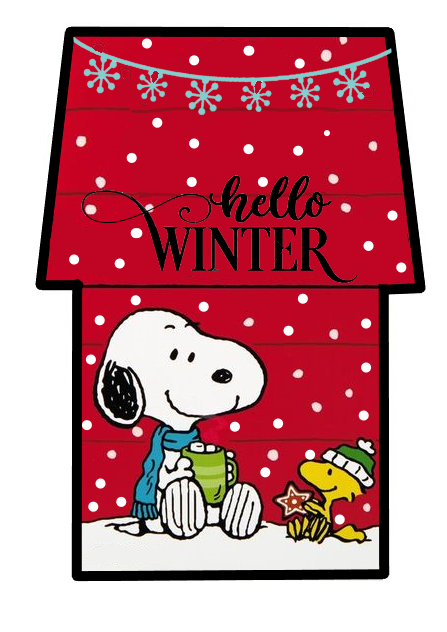 Winter Snoopy Doghouse Hot Cocoa