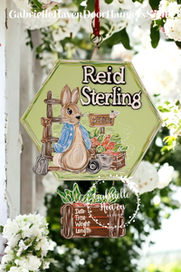 Peter Rabbit with Birth Stats & 3D name