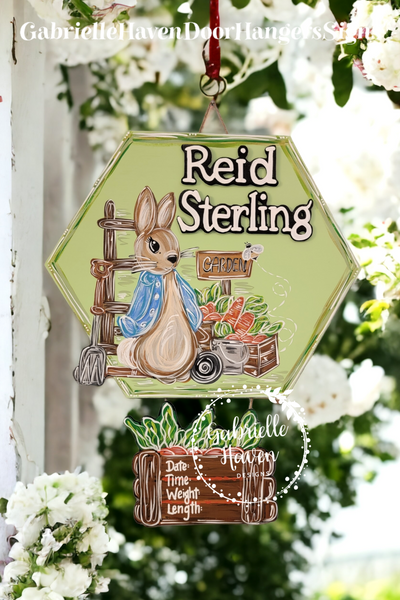 Peter Rabbit with Birth Stats & 3D name