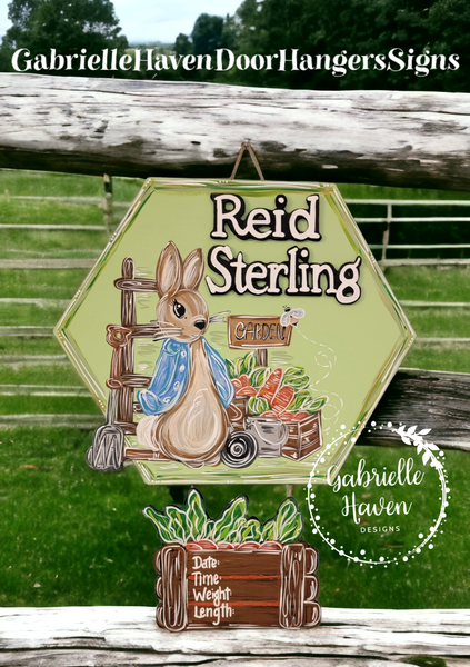 Peter Rabbit with Birth Stats & 3D name