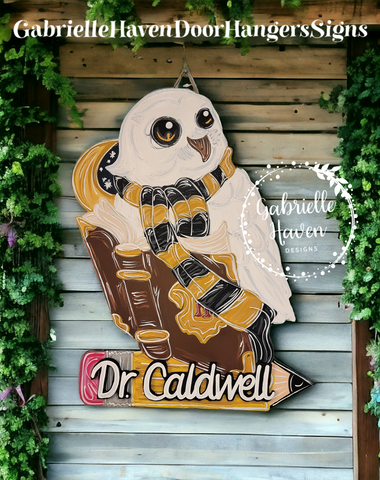 Harry Potter Owl Teacher