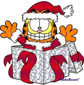 Garfield Christmas Present